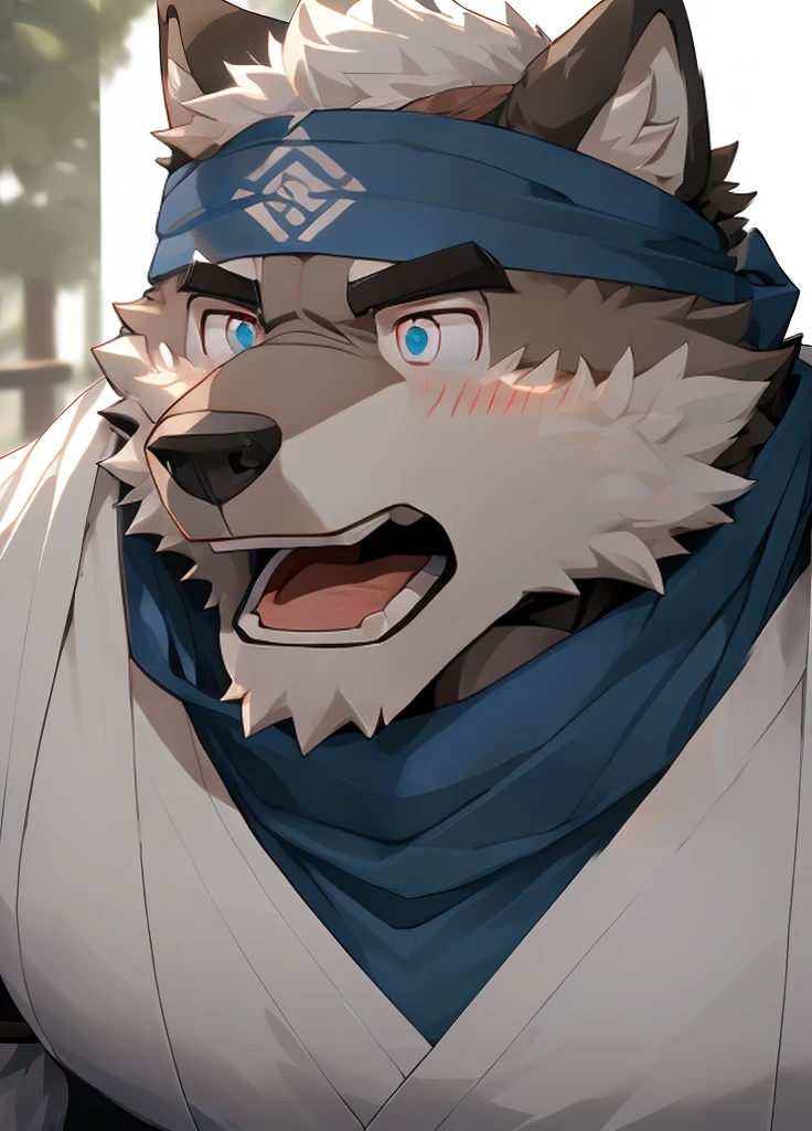 (masterpiece)，(Very detailed)，(best quality)，hairy，Wolf，Dark black fur，white hair，Black eyebrows，Gray pupil，Muscular，(Japan samurai attire)，((blue scarf))，((Brown headband))，(blush:1.1)，((Stunned expression:1.3))，((Open your mouth))，(Shock)，((Ultra HD close-up:1.4))，8K，(high quality)，(Ultra high quality)，(Super detailed)，(Best Works)