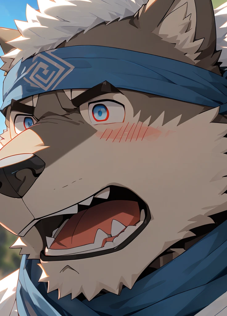 (masterpiece),(Very detailed),(best quality),hairy,Wolf,Dark black fur,white hair,Black eyebrows,Gray pupil,Muscular,(Japan samurai attire),((blue scarf)),((Brown headband)),(blush:1.1),((Stunned expression:1.3)),((Open your mouth)),(Shock),((Ultra HD close-up:1.4)),8K,(high quality),(Ultra high quality),(Super detailed),(Best Works)
