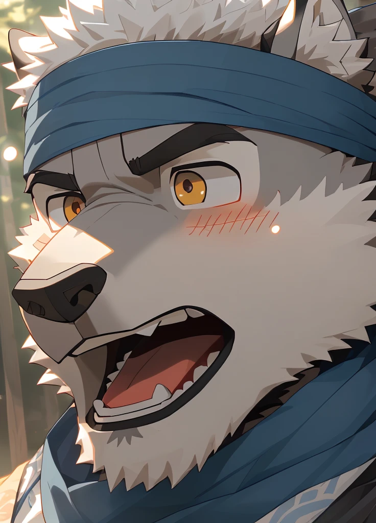 (masterpiece)，(Very detailed)，(best quality)，hairy，Wolf，Dark black fur，white hair，Black eyebrows，Gray pupil，Muscular，(Japan samurai attire)，((blue scarf))，((Brown headband))，(blush:1.1)，((Stunned expression:1.3))，((Open your mouth))，(Shock)，((Ultra HD close-up:1.4))，8K，(high quality)，(Ultra high quality)，(Super detailed)，(Best Works)