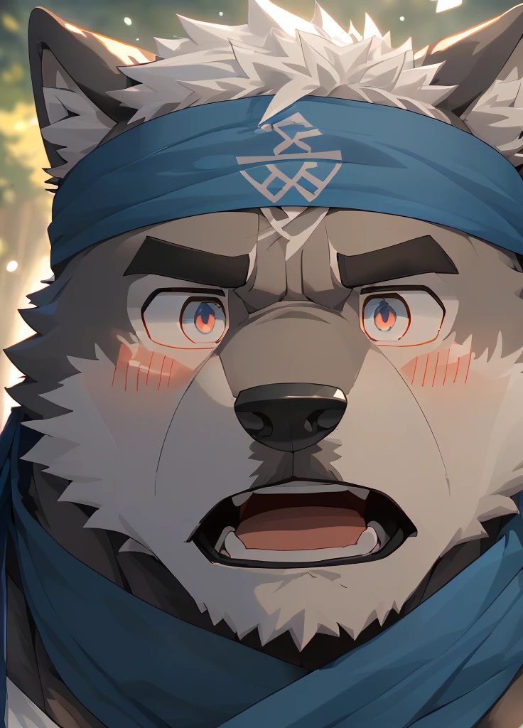 (masterpiece),(Very detailed),(best quality),hairy,Wolf,Dark black fur,white hair,Black eyebrows,Gray pupil,Muscular,(Japan samurai attire),((blue scarf)),((Brown headband)),(blush:1.1),((Stunned expression:1.3)),((Open your mouth)),(Shock),((Ultra HD close-up:1.4)),8K,(high quality),(Ultra high quality),(Super detailed),(Best Works)
