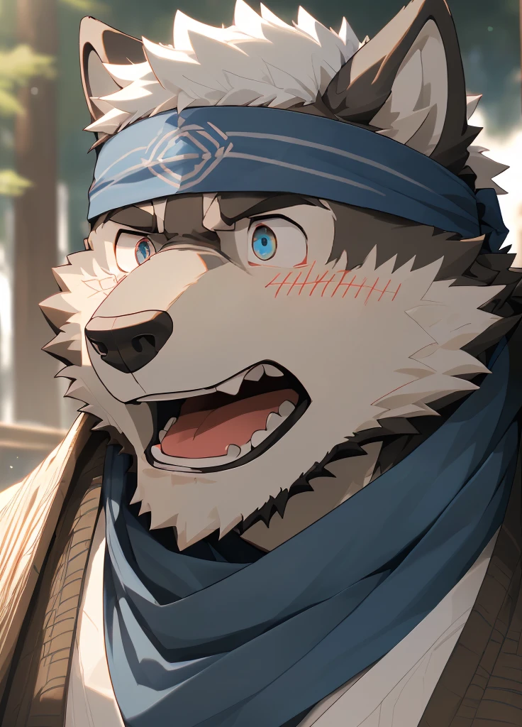 (masterpiece),(Very detailed),(best quality),hairy,Wolf,Dark black fur,white hair,Black eyebrows,Gray pupil,Muscular,(Japan samurai attire),((blue scarf)),((Brown headband)),(blush:1.1),((Stunned expression:1.3)),((Open your mouth)),(Shock),((Ultra HD close-up:1.4)),8K,(high quality),(Ultra high quality),(Super detailed),(Best Works)
