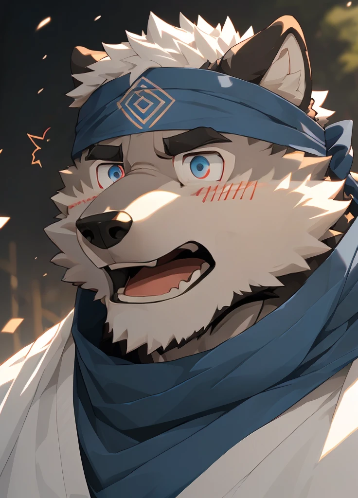 (masterpiece),(Very detailed),(best quality),hairy,Wolf,Dark black fur,white hair,Black eyebrows,Gray pupil,Muscular,(Japan samurai attire),((blue scarf)),((Brown headband)),(blush:1.1),((Stunned expression:1.3)),((Open your mouth)),(Shock),((Ultra HD close-up:1.4)),8K,(high quality),(Ultra high quality),(Super detailed),(Best Works)
