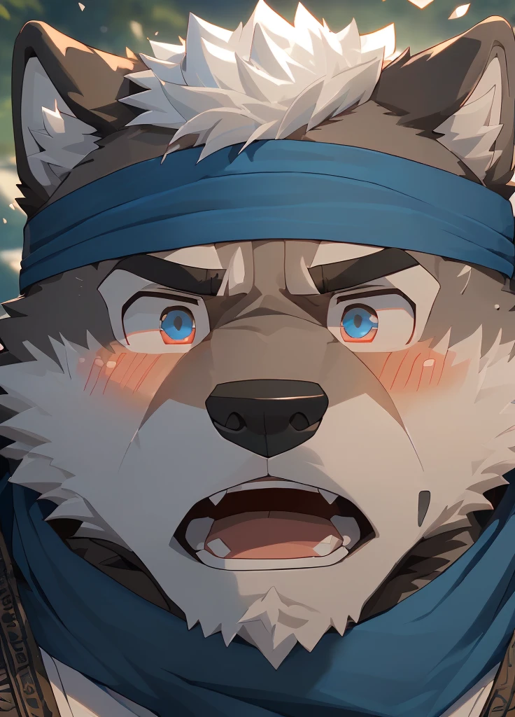 (masterpiece),(Very detailed),(best quality),hairy,Wolf,Dark black fur,white hair,Black eyebrows,Gray pupil,Muscular,(Japan samurai attire),((blue scarf)),((Brown headband)),(blush:1.1),((Stunned expression:1.3)),((Open your mouth)),(Shock),((Ultra HD close-up:1.4)),8K,(high quality),(Ultra high quality),(Super detailed),(Best Works)