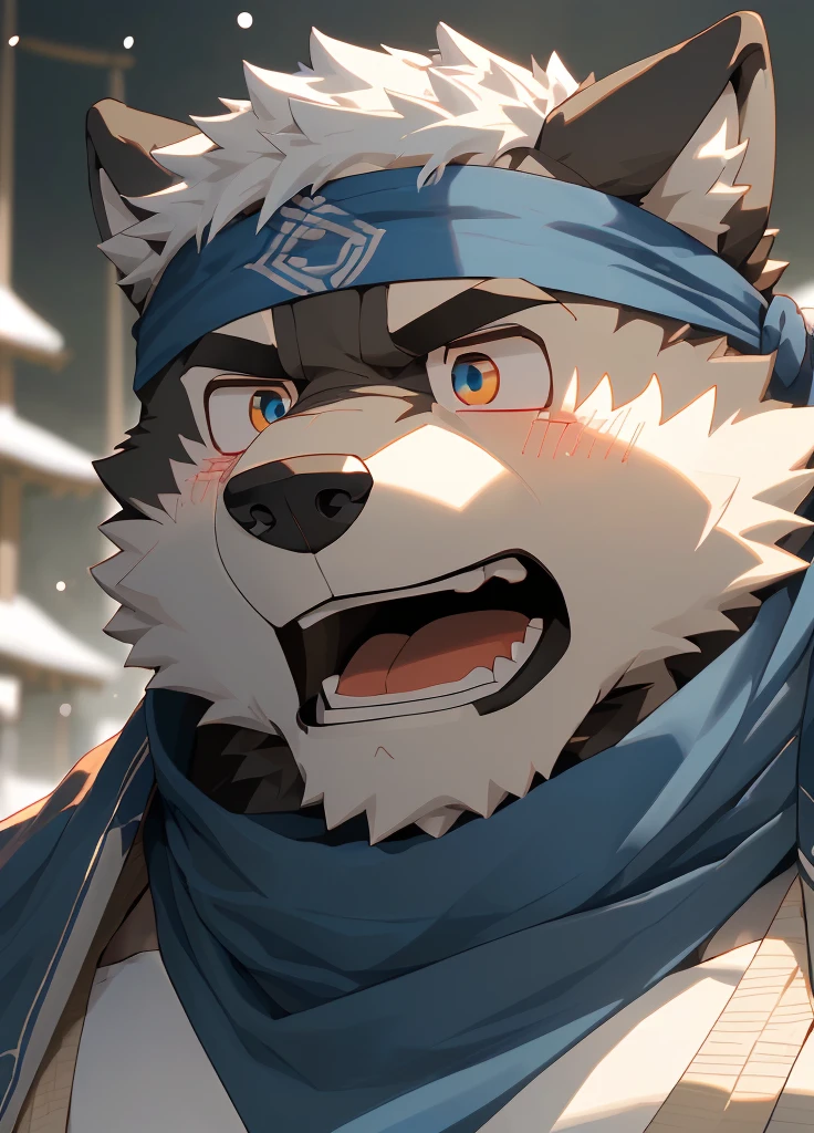 (masterpiece),(Very detailed),(best quality),hairy,Wolf,Dark black fur,white hair,Black eyebrows,Gray pupil,Muscular,(Japan samurai attire),((blue scarf)),((Brown headband)),(blush:1.1),((Stunned expression:1.3)),((Open your mouth)),(Shock),((Ultra HD close-up:1.4)),8K,(high quality),(Ultra high quality),(Super detailed),(Best Works)