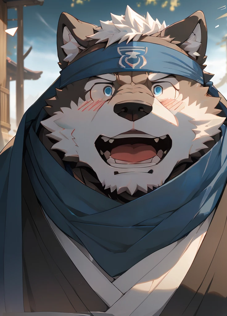 (masterpiece),(Very detailed),(best quality),hairy,Wolf,Dark black fur,white hair,Black eyebrows,Gray pupil,Muscular,(Japan samurai attire),((blue scarf)),((Brown headband)),(blush:1.1),((Stunned expression:1.3)),((Open your mouth)),(Shock),((Ultra HD close-up:1.4)),8K,(high quality),(Ultra high quality),(Super detailed),(Best Works)