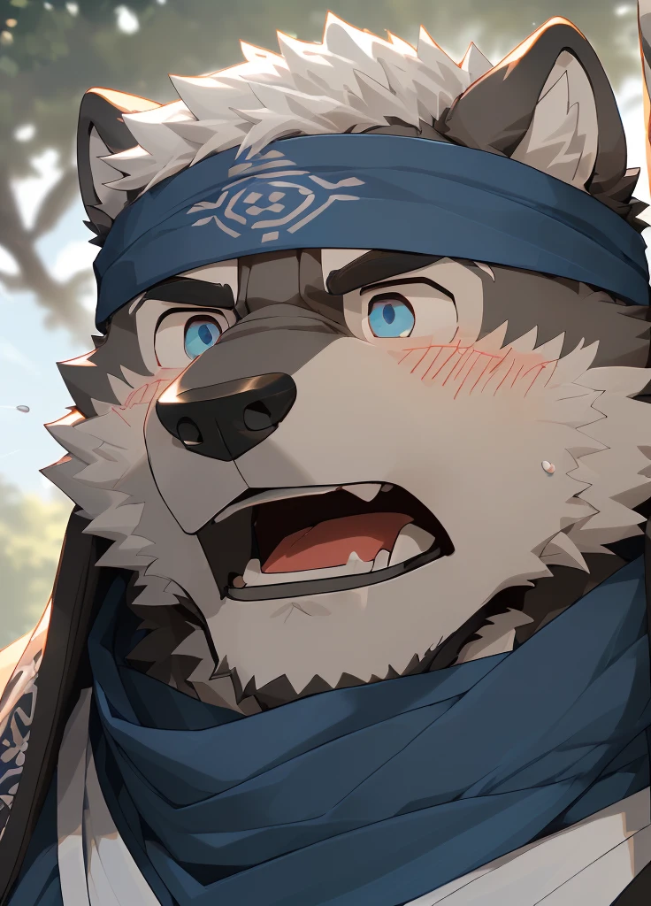 (masterpiece),(Very detailed),(best quality),hairy,Wolf,Dark black fur,white hair,Black eyebrows,Gray pupil,Muscular,(Japan samurai attire),((blue scarf)),((Brown headband)),(blush:1.1),((Stunned expression:1.3)),((Open your mouth)),(Shock),((Ultra HD close-up:1.4)),8K,(high quality),(Ultra high quality),(Super detailed),(Best Works)