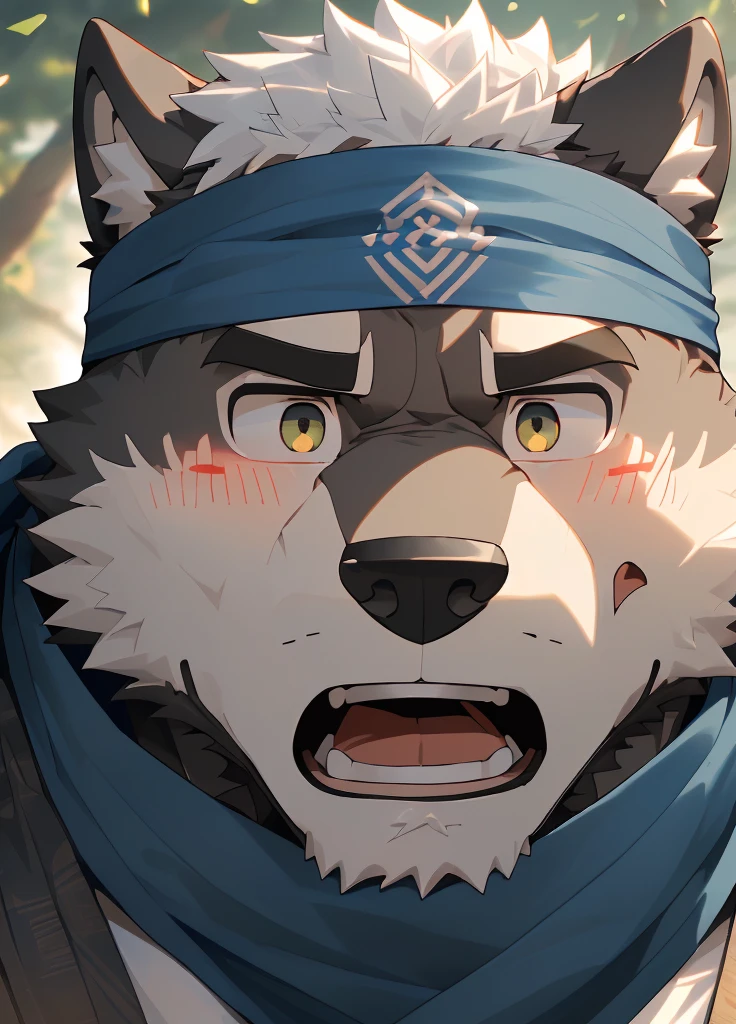 (masterpiece)，(Very detailed)，(best quality)，hairy，Wolf，Dark black fur，white hair，Black eyebrows，Gray pupil，Muscular，(Japan samurai attire)，((blue scarf))，((Brown headband))，(blush:1.1)，((Stunned expression:1.3))，((Open your mouth))，(Shock)，((Ultra HD close-up:1.4))，8K，(high quality)，(Ultra high quality)，(Super detailed)，(Best Works)