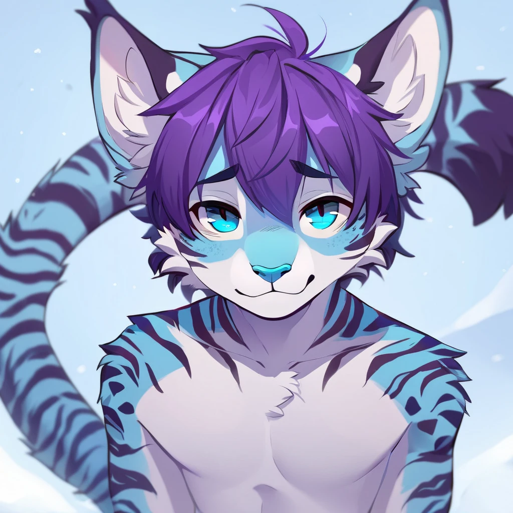 feline, mammal, anthro, anthromorphic, snow, leopard, striped_feline, fur, furred_anthro, male, bangs, ear_tufts, blue_nose, paws, hair_tuft, hair_between_eyes, long_tail, fluffy, feline_ears, expressive_eyes, purple_hair, light looking_at_viewer, blue_fur, shy, small_pupils, spotted_pattern, stripes, tiger_stripes, digital_art, high_resolution, high_res, tealblue_background