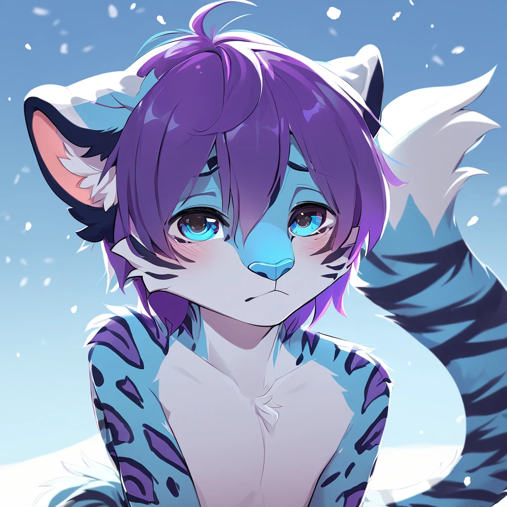 feline, mammal, anthro, anthromorphic, snow, leopard, striped_feline, fur, furred_anthro, male, bangs, ear_tufts, blue_nose, paws, hair_tuft, hair_between_eyes, long_tail, fluffy, feline_ears, expressive_eyes, purple_hair, light looking_at_viewer, blue_fur, shy, small_pupils, spotted_pattern, stripes, tiger_stripes, digital_art, high_resolution, high_res, tealblue_background
