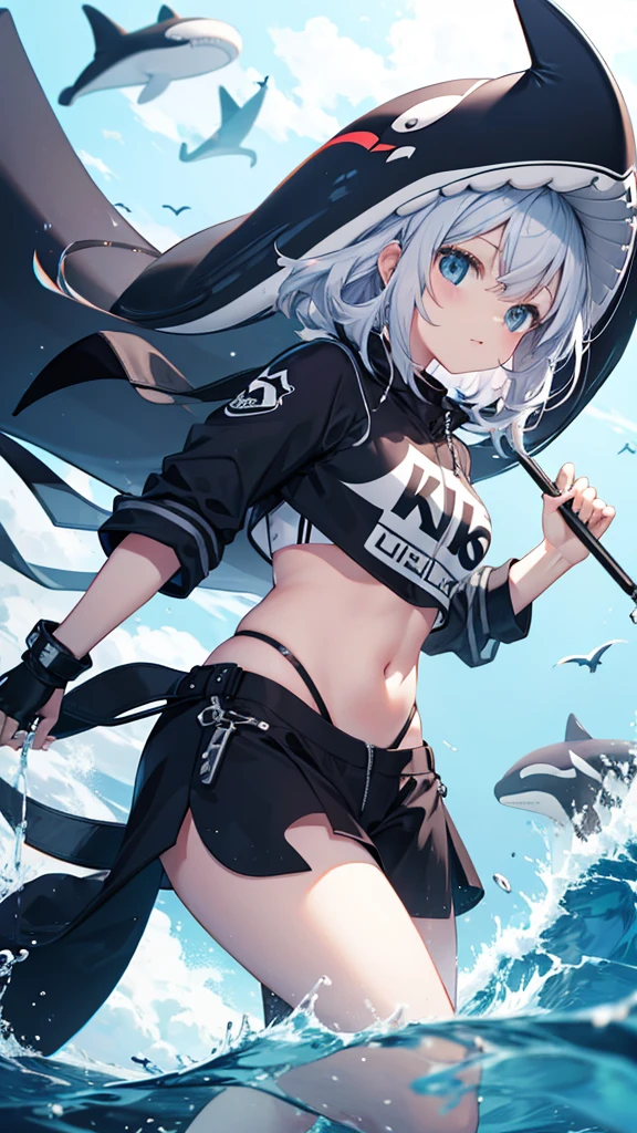 Killer whale