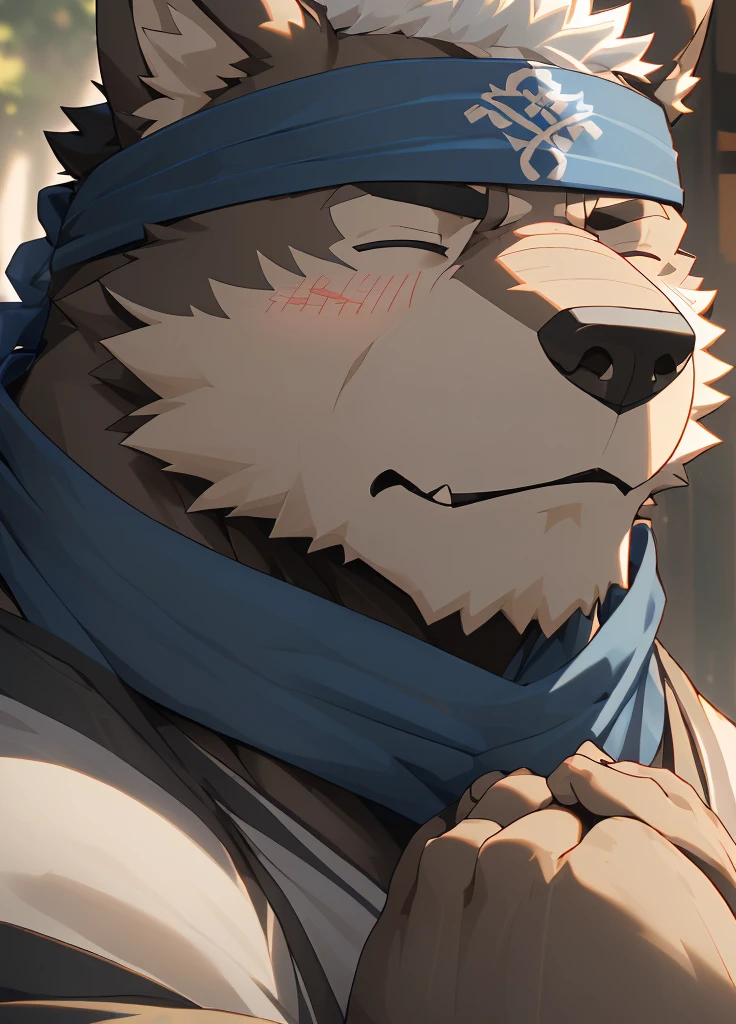 (masterpiece),(Very detailed),(best quality),hairy,Wolf,Dark black fur,white hair,Black eyebrows,Gray pupil,Muscular,(Japan samurai attire),((blue scarf)),((Brown headband)),(blush:1.1),((Hands together:1.3)),((Close your eyes)),(Pious),((Ultra HD close-up:1.4)),8K,(high quality),(Ultra high quality),(Super detailed),(Best Works)