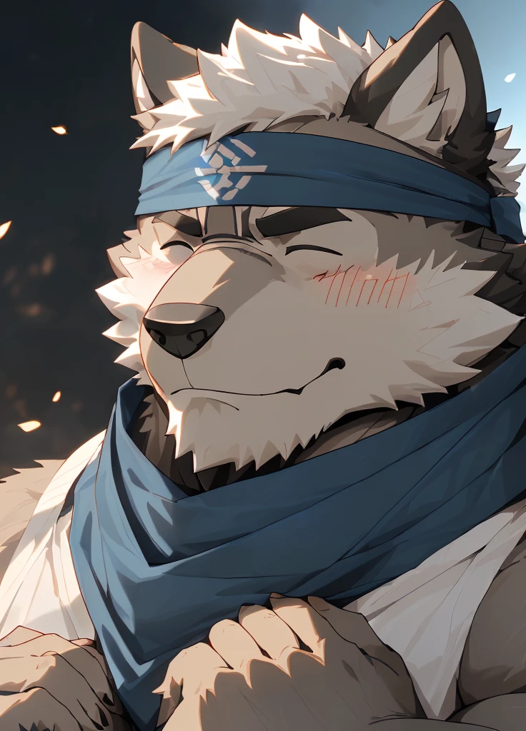 (masterpiece),(Very detailed),(best quality),hairy,Wolf,Dark black fur,white hair,Black eyebrows,Gray pupil,Muscular,(Japan samurai attire),((blue scarf)),((Brown headband)),(blush:1.1),((Hands together:1.3)),((Close your eyes)),(Pious),((Ultra HD close-up:1.4)),8K,(high quality),(Ultra high quality),(Super detailed),(Best Works)