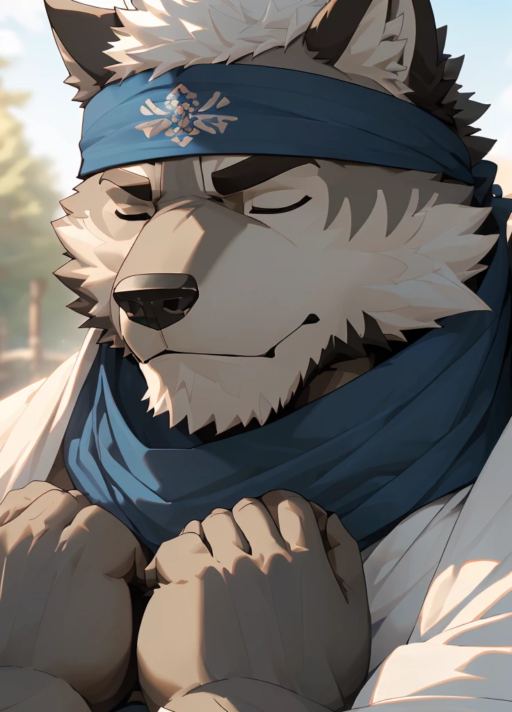 (masterpiece),(Very detailed),(best quality),hairy,Wolf,Dark black fur,white hair,Black eyebrows,Gray pupil,Muscular,(Japan samurai attire),((blue scarf)),((Brown headband)),((Hands together:1.3)),((Close your eyes)),(Pious),((Ultra HD close-up:1.4)),8K,(high quality),(Ultra high quality),(Super detailed),(Best Works)