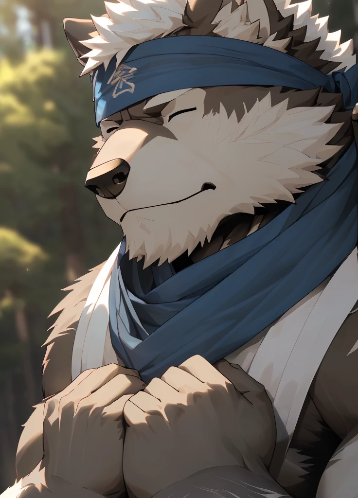 (masterpiece),(Very detailed),(best quality),hairy,Wolf,Dark black fur,white hair,Black eyebrows,Gray pupil,Muscular,(Japan samurai attire),((blue scarf)),((Brown headband)),((Hands together:1.3)),((Close your eyes)),(Pious),((Ultra HD close-up:1.4)),8K,(high quality),(Ultra high quality),(Super detailed),(Best Works)