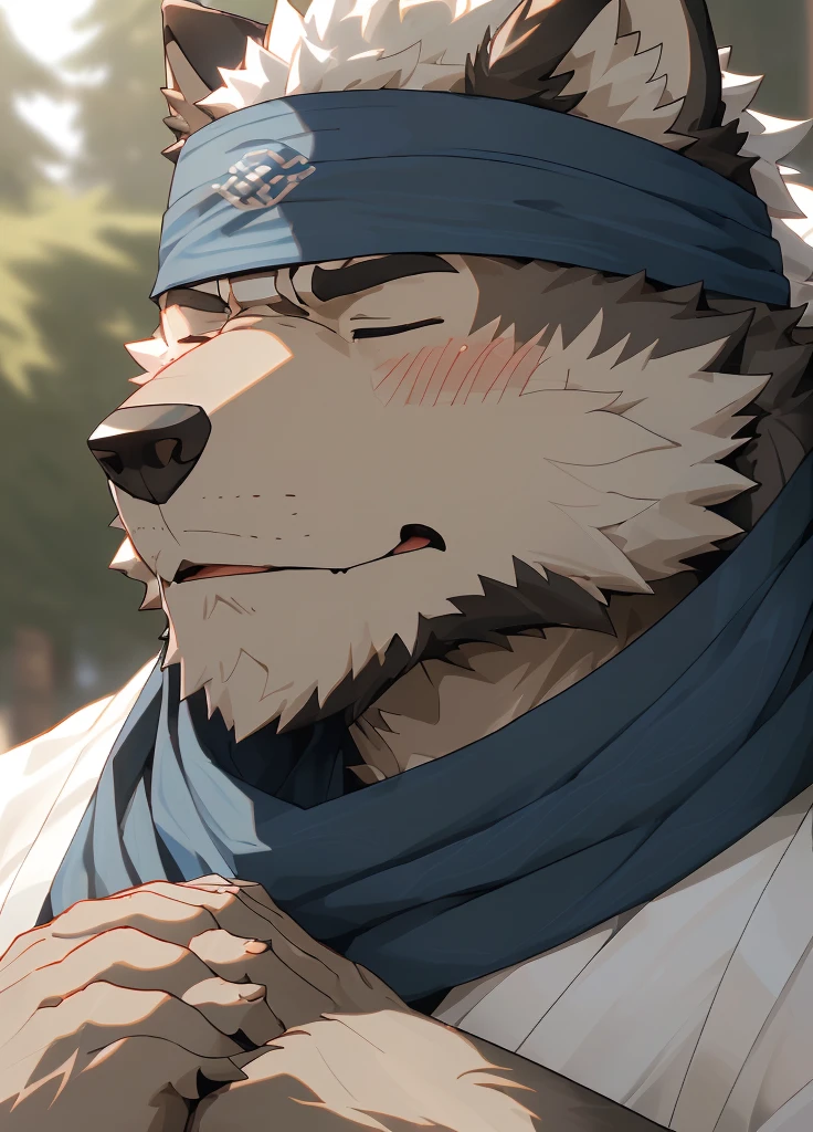 (masterpiece),(Very detailed),(best quality),hairy,Wolf,Dark black fur,white hair,Black eyebrows,Gray pupil,Muscular,(Japan samurai attire),((blue scarf)),((Brown headband)),(blush:1.1),((Hands together:1.3)),((Close your eyes)),(Pious),((Ultra HD close-up:1.4)),8K,(high quality),(Ultra high quality),(Super detailed),(Best Works)