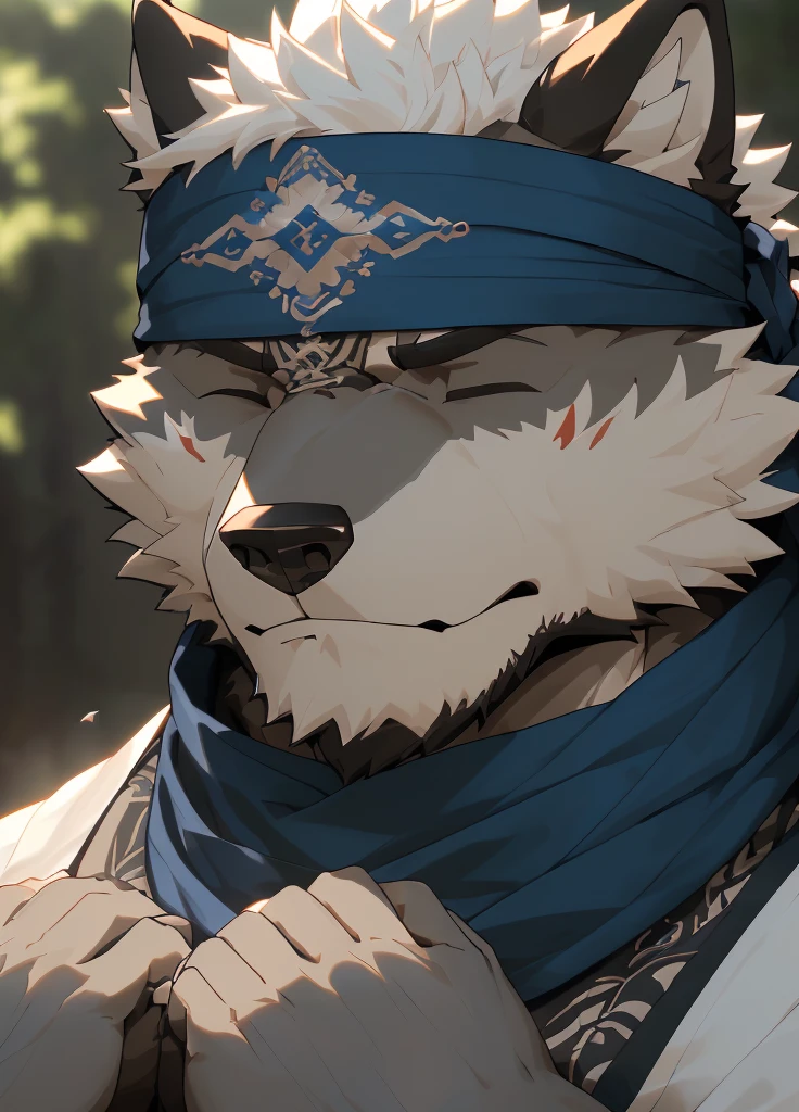 (masterpiece)，(Very detailed)，(best quality)，hairy，Wolf，Dark black fur，white hair，Black eyebrows，Gray pupil，Muscular，(Japan samurai attire)，((blue scarf))，((Brown headband))，((Hands together:1.3))，((Close your eyes))，(Pious)，((Ultra HD close-up:1.4))，8K，(high quality)，(Ultra high quality)，(Super detailed)，(Best Works)
