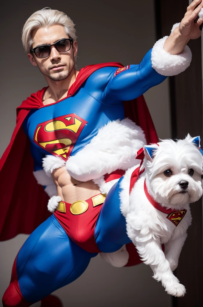 a Maltese dog dressed as Superman