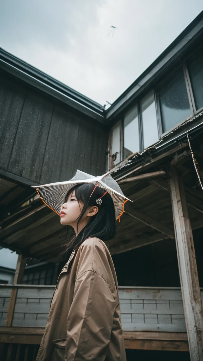 ((crane))、Rainy Sky、((1girl)),from below