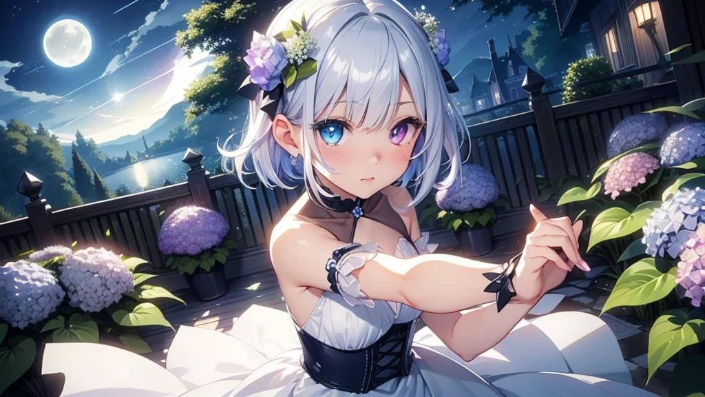 Best quality、Photorealistic、Ultra-detailed、delicate、Orderly、High Detail、Bluish Silver Short Bob、(Drooping heterochromia iris,glowing eyes、Sparkling Eyes:1.lender、(One girl:1.2)、(moon、night、Night Sky、Dark night、Glowing Hydrangea、Mysterious Light、Dutch Angle、Dancing Girl:1.3)、Ambient Occlusion、Ambient Light、Ray-traced Reflections、Glow、Shiny Hair、