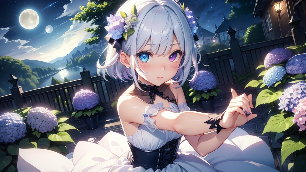Best quality、Photorealistic、Ultra-detailed、delicate、Orderly、High Detail、Bluish Silver Short Bob、(Drooping heterochromia iris,glowing eyes、Sparkling Eyes:1.3)、slender、(One girl:1.2)、(moon、night、Night Sky、Dark night、Glowing Hydrangea、Mysterious Light、Dutch Angle、Dancing Girl:1.3)、Ambient Occlusion、Ambient Light、Ray-traced Reflections、Glow、Shiny Hair、