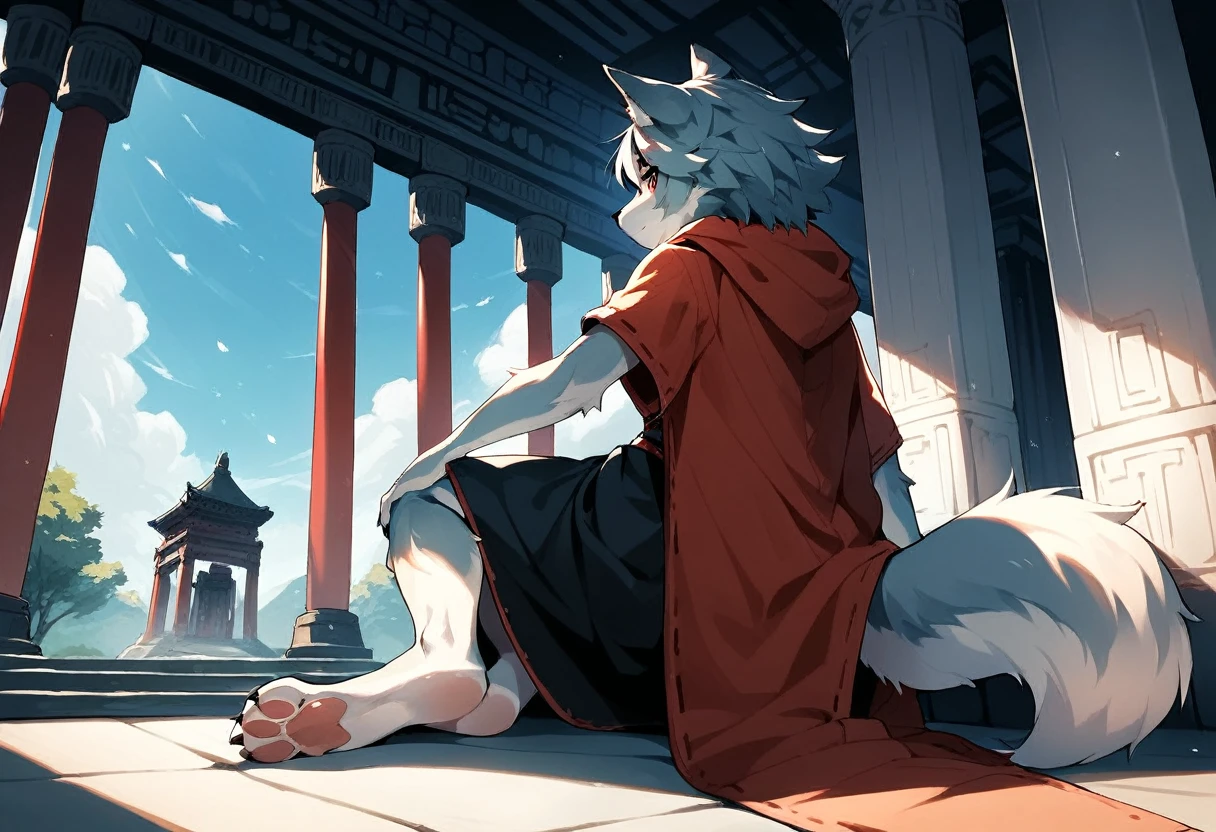 score_9, score_8_up, score_7_up, score_6_up, source_anime, rating_safe, furry female, solo, dagasi_style,, furry, temple, wolf boy, sitting, low view, from behind, soles at spectator, showing soles, grinning, paws, 3 toes, barefoot, paws