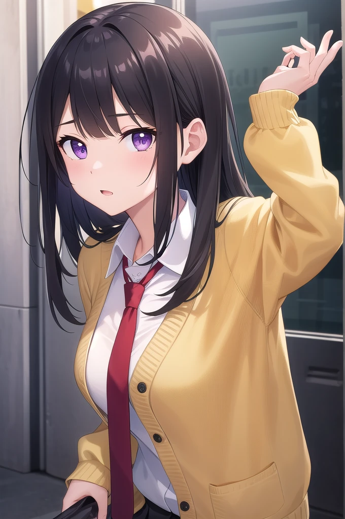 ((masterpiece)),(best quality),official art,extremely delicate and beautiful,extremely detailed CG,unity 8k wallpaper,ultra detailed,beautiful detailed eyes,extremely detailed face,outdoors,1girl,solo,upper body,(portrait:1.5),looking at viewer,facing viewer,anxious,long hair,black hair,sidelocks,blunt bangs,purple eyes,,yellow cardigan,red necktie,white shirt,collared shirt,long sleeves,medium breasts,miniskirt,pleated skirt,black skirt,zettai ryouiki,black thighhighs,loafers,