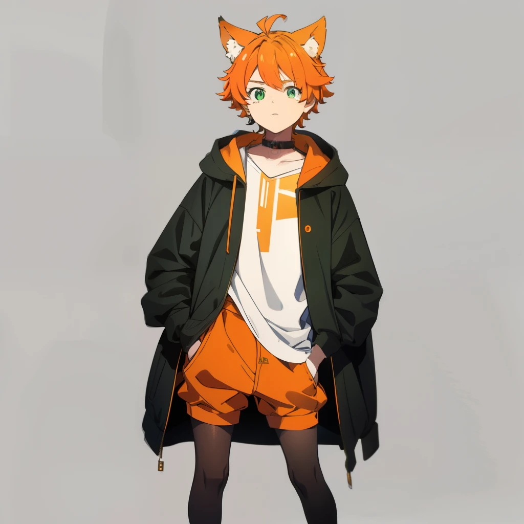 orange hair, green eyes, boy,femboy, animal ears, cute, full body, going out clothes