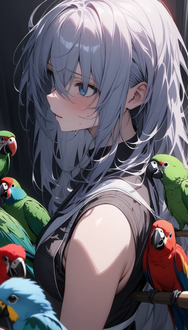 (masterpiece:1.2), Hyper Detail, Highest quality, (complicated_detailed:1.1), Beautiful details, Beautiful Hair, alone, One girl,Gotoh Def, Parrots and Parakeets