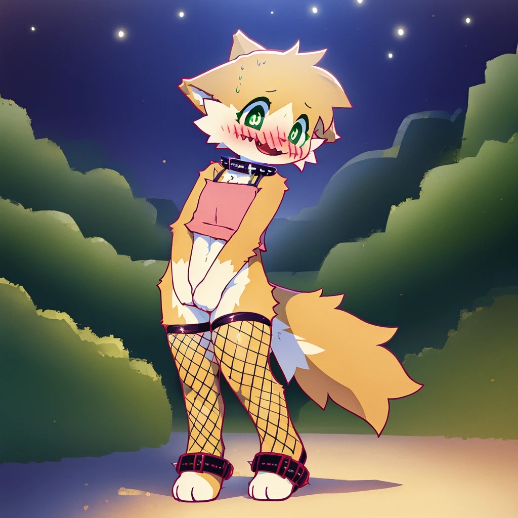 art by dagasi, (solo:1.5), Best Quality, Masterpiece, (Absurdres:), Detailed, Ultra-Detailed, Digital Art, correct anatomy, arms in correct position, full body, (high quality, high res, 4k:1.2), (kid:1.5), (small, youthful), rolo, furry, small, (kid female:1.3), fluffy, light orange fur, green cat eyes, (beautiful eyes), juicy thighs, flushed, embarrassed, small nervous smile, blushing, fluffy tail, eyelashes, slightly enjoying, naked, walking through the park, on a very dark night, wearing fishnet stockings, (fishnet sleeves:1.2), (red collar:1.2), (spiked collar:1.1)