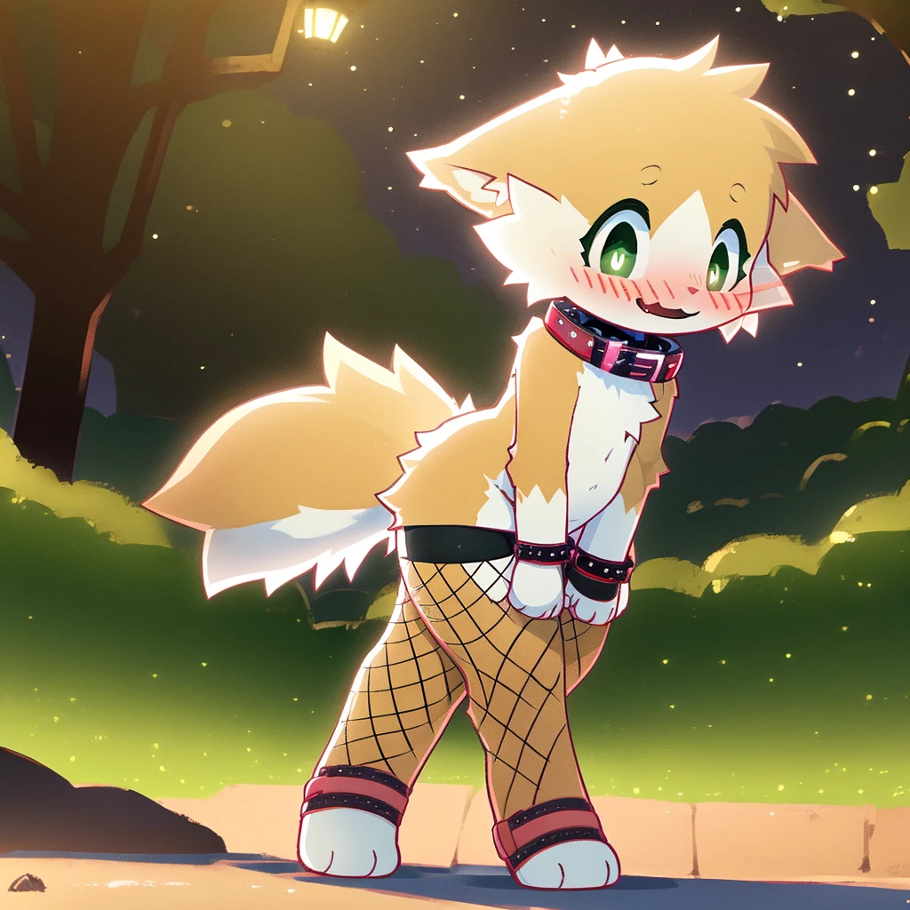 art by dagasi, (solo:1.5), Best Quality, Masterpiece, (Absurdres:), Detailed, Ultra-Detailed, Digital Art, correct anatomy, arms in correct position, full body, (high quality, high res, 4k:1.2), (???:1.5), (small, youthful), rolo, furry, small, (??? female:1.3), fluffy, light orange fur, green cat eyes, (beautiful eyes), juicy thighs, flushed, embarrassed, small nervous smile, blushing, fluffy tail, eyelashes, slightly enjoying, naked, walking through the park, on a very dark night, wearing fishnet stockings, (fishnet sleeves:1.3), (red collar:1.2), (spiked collar:1.1)