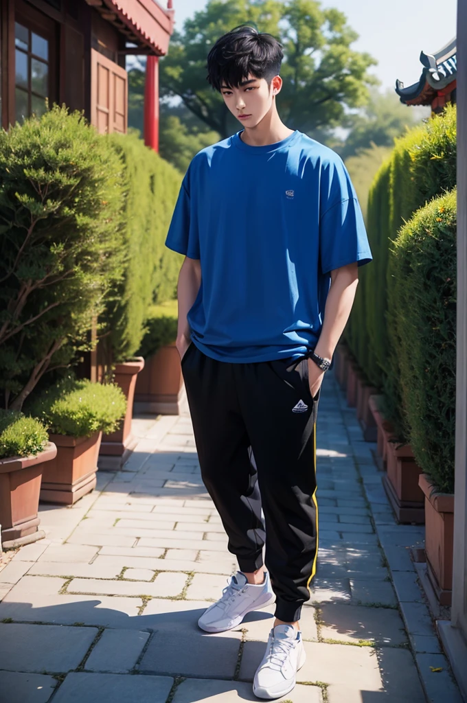 "Beijing young men", slim. wearing oversize blue T shirt then black jogger pants, full body, black short cut, garden