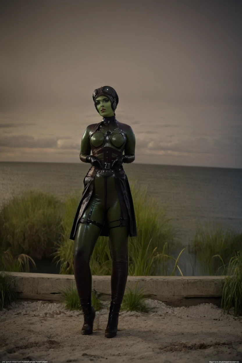 cinematic film still hera syndulla, (green skin:1.2), black at canal, full body shot, highly detailed environment . shallow depth of field, vignette, highly detailed, high budget Hollywood movie by baz luhrmann, bokeh, cinemascope, moody, epic, gorgeous, film grain, grainy
