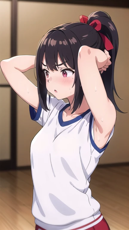 masterpiece,highres,high quality,
MicchonShikimori,1girl,
solo,sweat,sweatdrop,wet,tsurime,looking away,long hair,high ponytail,blush,hair ribbon,gym uniform,t-shirt,short sleeves,parody,upper body,indoors,v-shaped eyebrows,:o,parted lips,frown,arms up,raise bangs,hands on own head,hands in hair,forehead,collarbone,
style parody,meme,official style,wooden floor,anime coloring,blurry,blurry background, sleevesless, armpits,
