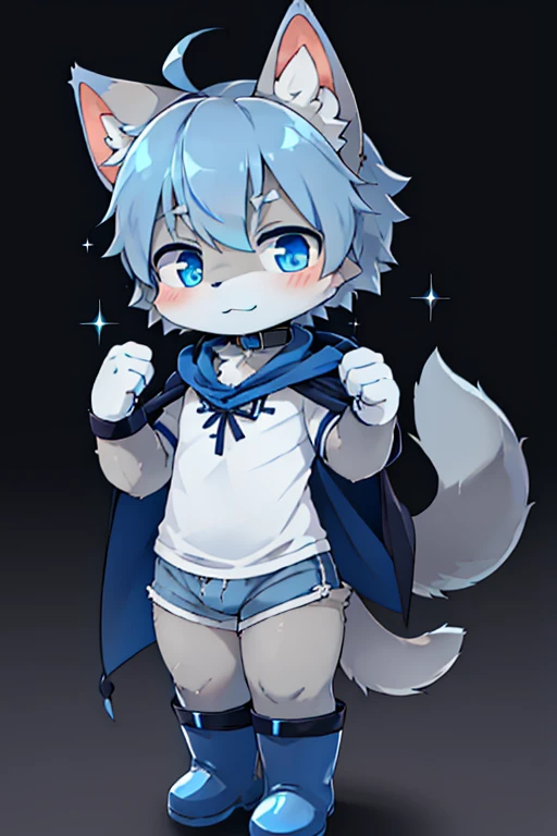 tmasterpiece,high high quality,Absurd resolution,cat ear,Dolphin body