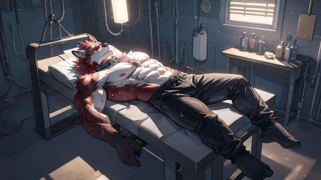 Best quality, Diederich, Furry Wolf, Red Fur, Red eyes, Medium Muscular Body, Handsome, Good Looking, White socks, Topless, Cool Pose, Sweat, Arms back, Trunks, Leg speard, Cool collar, Tamed, Struggling, Coma, Secret laboratory, Lying on the operating table, Undergo body modification surgery