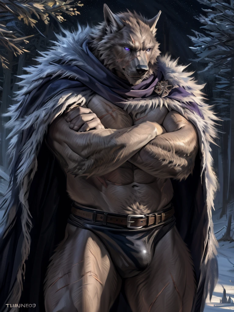 blaidd, in partial shadows, cape. 4k, high resolution, best quality, perfect colors, perfect shadows, perfect lighting, posted on e621, furry body, solo, male, adult, bare chest, masculine, (very muscular, buff, heavyweight, strong chest:1.2), correct anatomy, (photorealistic fur, detailed fur, epic, masterpiece:1.2), (dark fantasy world background, trees, black sky, night, cold), (by Taran Fiddler, by Chunie, by Traver009, by wfa:1.1), (black leather underwear, belt:1.2), (detailed eyes, purple eyes:1.2), (half body:1.1), serious face, strong posture, (large scars on body, scars on face:1.1), visible breath, (veins, vascular:1.2), proud, soft shadows, (arms crossed:1.2), looking at viewer, messy fur, gruff