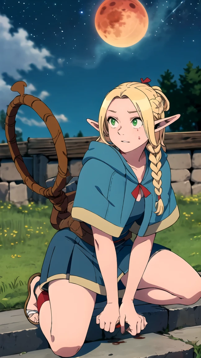 ((Best quality)), ((very detailed)), masterpiece, detailed face, Beautiful face, , (1 girl), dynamic angle, riding, bicycle, naked, nude, erotica, kneeling, Marseille_donated_dungeonmesh, blonde hair, long hair, double braids, elf, pointed ears, green eyes, red necklace, blue cape, robe, sandals, holding staff, (on open air, On the stairs, night, night sky, stars, blood moon, telescope, hurricane)