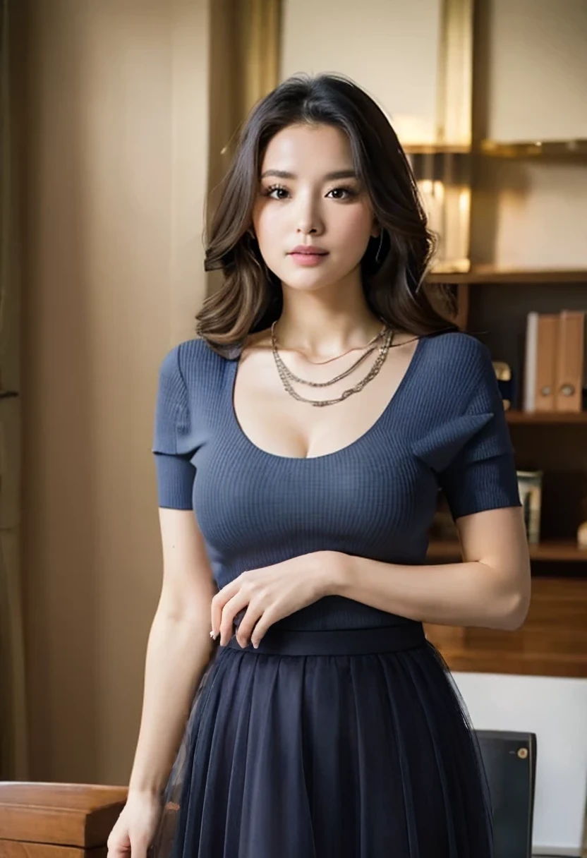 Highest quality Perfect hands Navy_There is a vertical crease_Long skirt_Tulle_Sheer skirt