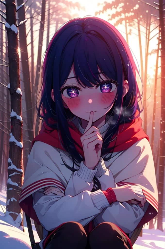 aihoshino, ai hoshino, Long Hair, bangs, (Purple eyes:1.1), Purple Hair, (Symbol-shaped pupil:1.5), smile,,smile,blush,White Breath,
Open your mouth,snow,Ground bonfire, Outdoor, boots, snowing, From the side, wood, suitcase, Cape, Blurred, , forest, White handbag, nature,  Squat, Mouth closed, Cape, winter, Written boundary depth, Black shoes, red Cape break looking at viewer, Upper Body, whole body, break Outdoor, forest, nature, break (masterpiece:1.2), Highest quality, High resolution, unity 8k wallpaper, (shape:0.8), (Beautiful and beautiful eyes:1.6), Highly detailed face, Perfect lighting, Extremely detailed CG, (Perfect hands, Perfect Anatomy),