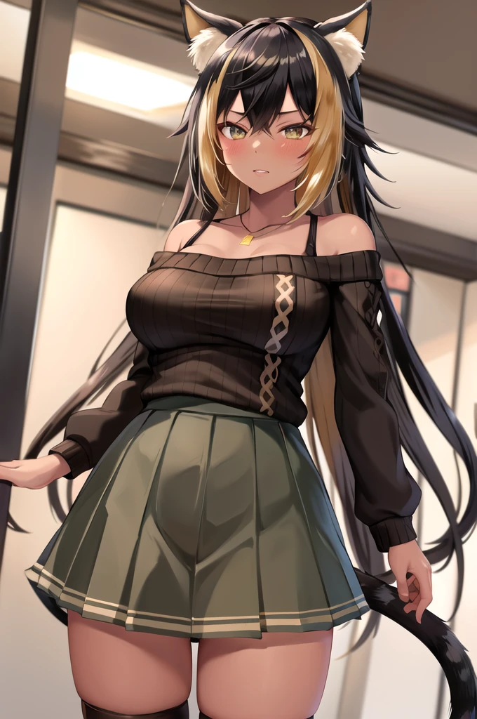 masterpiece, Highest quality, High resolution, hmnc1, Animal ears, tail, Dark Skin, Multicolored Hair, Black knee socks, Off-the-shoulder sweater, Pleated skirt, Black Skirt, jewelry, necklace, Ribbed sweatshirt, clavicle, Cowboy Shot, Sitting in a chair,With legs apart,Leg spread,Satin panties are visible, indoor,Shame face,