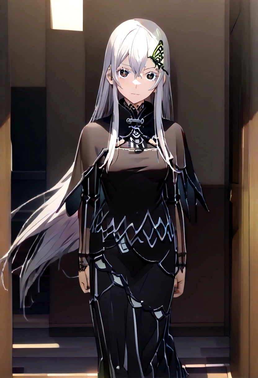 echidna, echidna, Colored eyelashes, Gray Hair, Hair between the eyes, Long Hair, Straight hair, (Iris:1.5),
break black Capelet, black dress, butterfly hair ornaments, Capelet, dress, hair ornaments,
break looking at viewer, whole body,
break indoors, classroom,
break (masterpiece:1.2), Highest quality, High resolution, unity 8k wallpaper, (figure:0.8), (Beautiful attention to detail:1.6), Highly detailed face, Perfect lighting, Highly detailed CG, (Perfect hands, Perfect Anatomy),