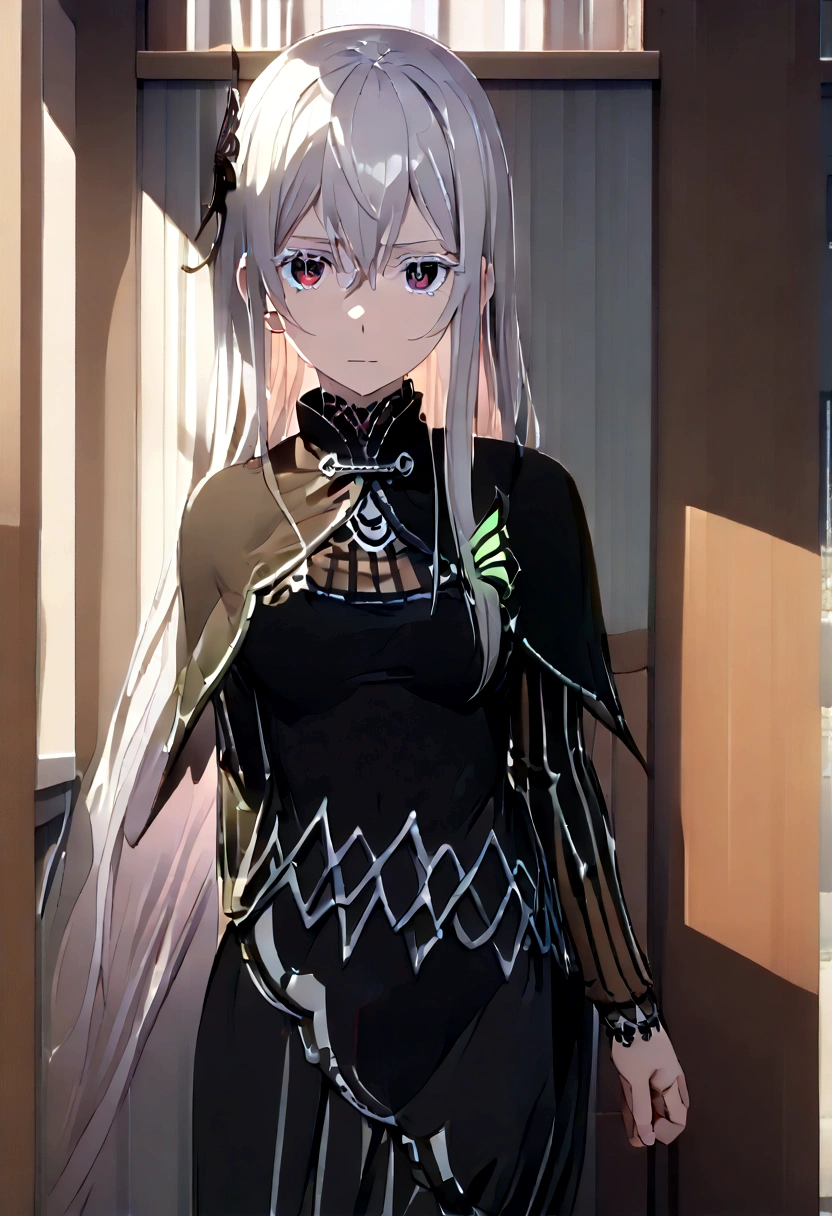 echidna, echidna, Colored eyelashes, Gray Hair, Hair between the eyes, Long Hair, Straight hair, (Iris:1.5),
break black Capelet, black dress, butterfly hair ornaments, Capelet, dress, hair ornaments,
break looking at viewer, whole body,
break indoors, classroom,
break (masterpiece:1.2), Highest quality, High resolution, unity 8k wallpaper, (figure:0.8), (Beautiful attention to detail:1.6), Highly detailed face, Perfect lighting, Highly detailed CG, (Perfect hands, Perfect Anatomy),