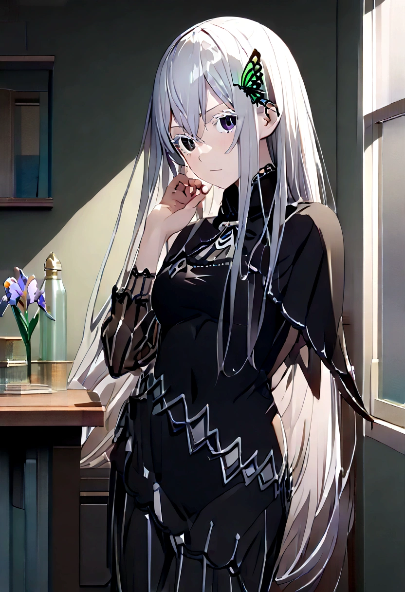 echidna, echidna, Colored eyelashes, Gray Hair, Hair between the eyes, Long Hair, Straight hair, (Iris:1.5),
break black Capelet, black dress, butterfly hair ornaments, Capelet, dress, hair ornaments,
break looking at viewer, whole body,
break indoors, classroom,
break (masterpiece:1.2), Highest quality, High resolution, unity 8k wallpaper, (figure:0.8), (Beautiful attention to detail:1.6), Highly detailed face, Perfect lighting, Highly detailed CG, (Perfect hands, Perfect Anatomy),