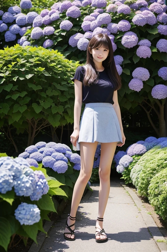 A 20-year-old girl wearing a miniskirt、In the hydrangea park。