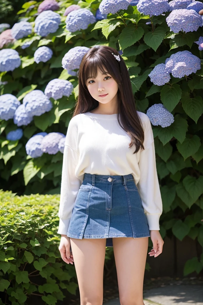A 20-year-old girl wearing a miniskirt、In the hydrangea park。