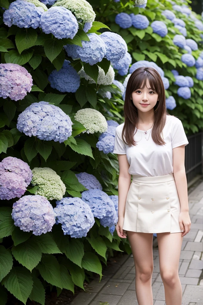 A 20-year-old girl wearing a miniskirt、In the hydrangea park。