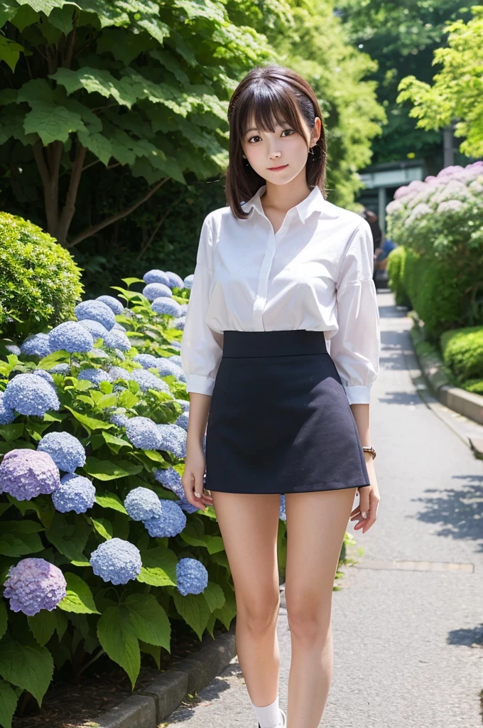A 20-year-old girl wearing a miniskirt、In the hydrangea park。