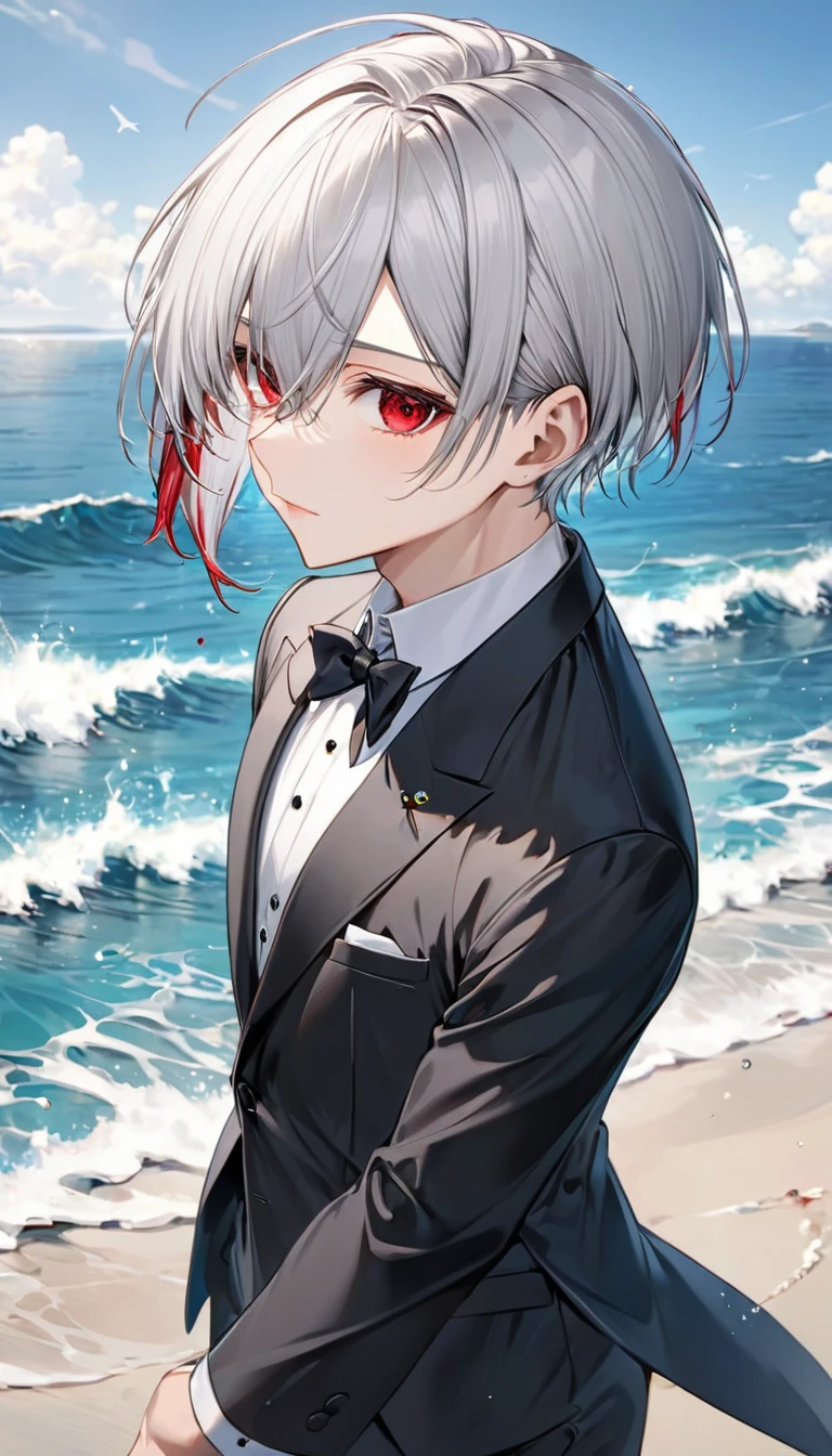 (profile:2, full-body), (love style) ((16 yo)), (solo:2 crew cut silver hair very short hair divine cool boy, serious red eyes), break, (in a butler suit), break, (in the open ocean view beach), (background detailed ocean), BREAK, perfect anatomy, masterpiece, best quality, 16k, beautiful detailed grow, daydreaming expression.