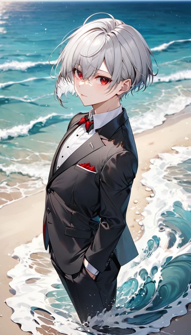 (profile:2, full-body), (love style) ((16 yo)), (solo:2 crew cut silver hair very short hair divine cool boy, serious red eyes), break, (in a butler suit), break, (in the open ocean view beach), (background detailed ocean), BREAK, perfect anatomy, masterpiece, best quality, 16k, beautiful detailed grow, daydreaming expression.