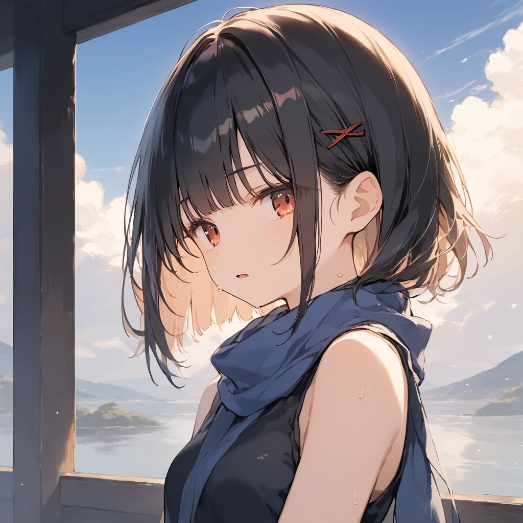 score_9, score_8_up, score_7_up, source_anime, best quality, masterpiece,ultra-detailed,official art, absurdres, highres, waifu2x, break,1girl, ninja, short hair, blunt bangs, small breasts,beautiful detailed eyes, expressionless, sleeveless, scarf, sweat, open mouth, (yawn:0.3), sleepily, night, outdoors, break,(clear line illustration:1.2),very high resolution, very aesthetic, super detailed skin, Best cinematic lighting powered by famous artist, 8k,cute picture,beauty illustration,photoshop_(medium),,(Detailed Lighting),best anime 8k konachan wallpaper, pixiv contest winner,
